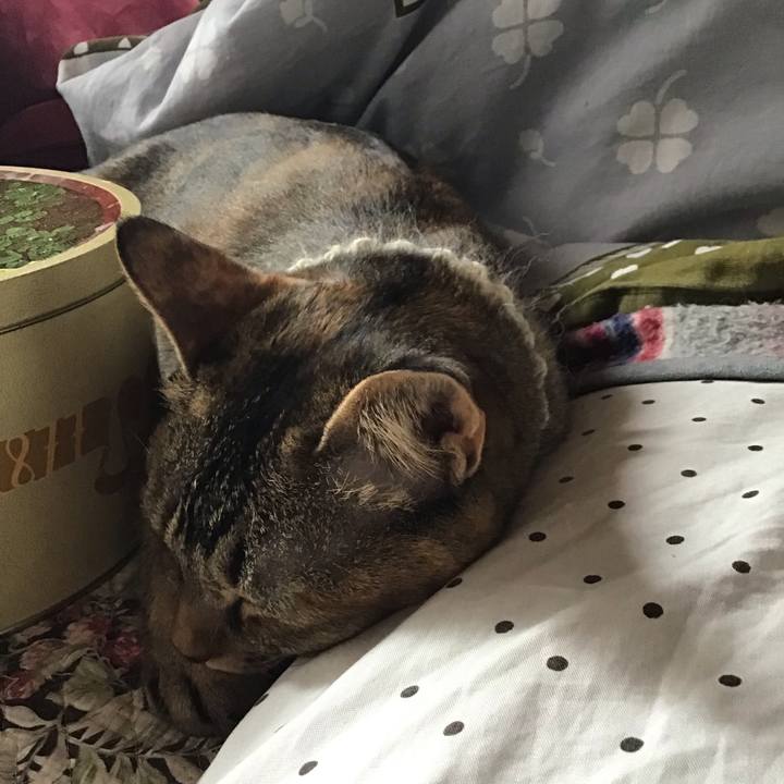 678856fb 3aa3 4cbb a7ad fc614121e5a3 1648531340298