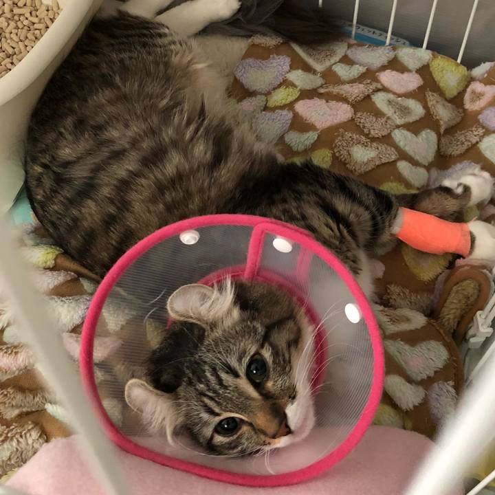 67886ead b005 408c 9e63 4d6273c7b42a 1512732029369