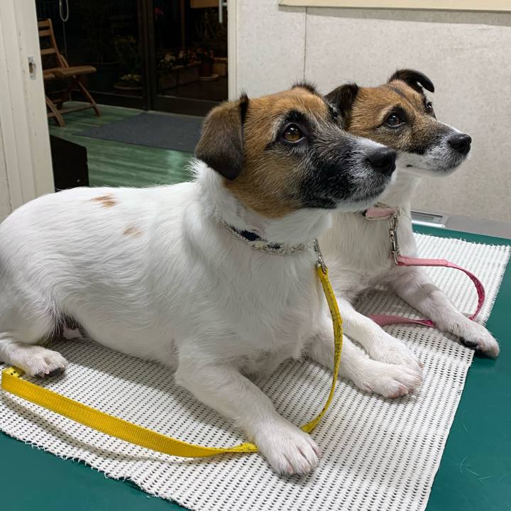 67889a7f a5a5 41a4 9b1f c1ef35a68e3c 1577532062644