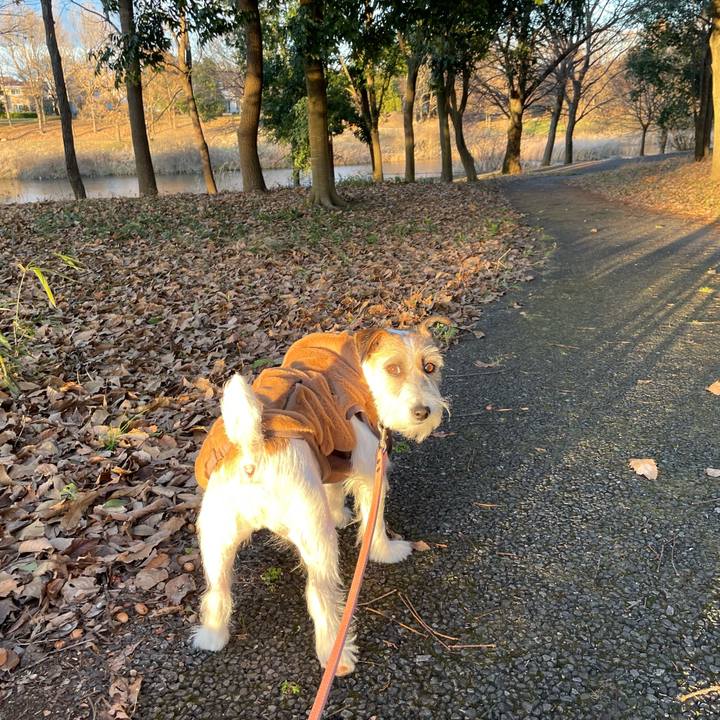 6788df3f e5f4 422d af7e 07896d2a5063 1672050341382