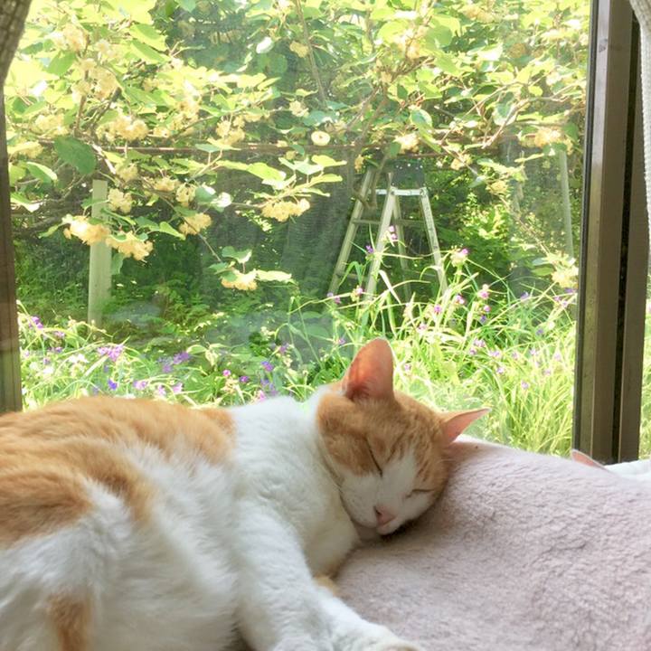 6788e412 eb29 4b44 90ed 17f81b9f1c44 1559530466477