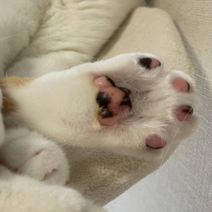 67892566 3cf3 41c6 8e53 a0971e45ba60 1630625941312