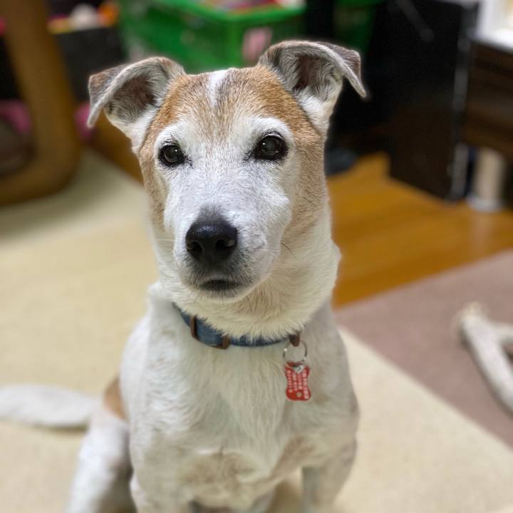 678966db 2c52 4d4d 8bf0 75f4c270019f 1619222973597