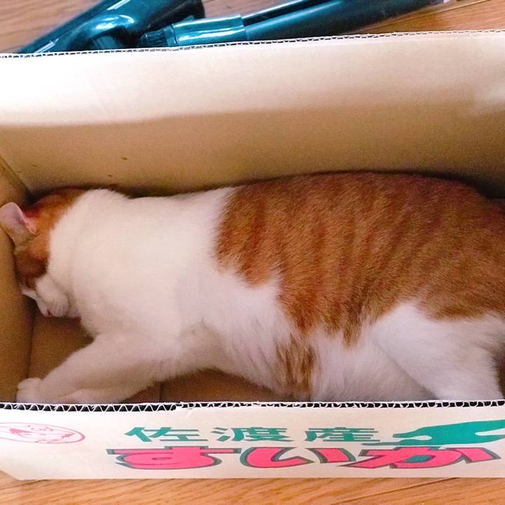 67896e40 20be 4af7 bbcc a16de5b0d08b 1566189249460