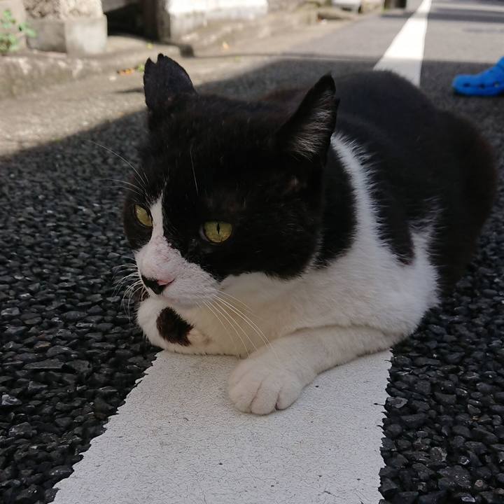 6789a53d d931 46b5 82db fa1293508af6 1564188668217