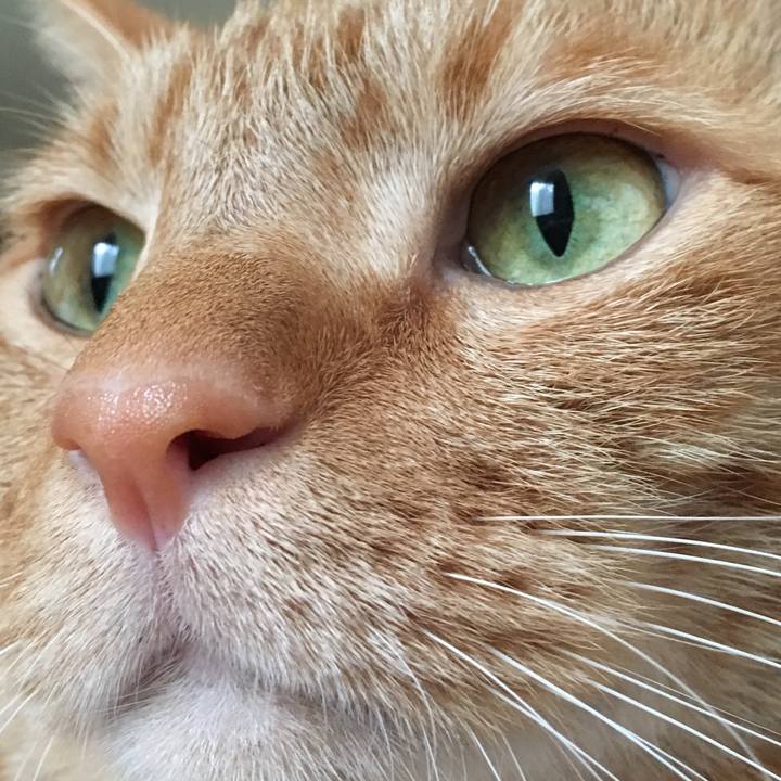 6789e21e 67db 46c0 87a4 6f2f5f956b08 1569642409557