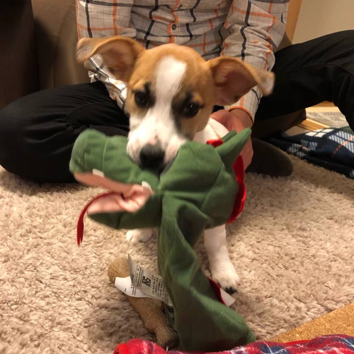 6789f59f 51e0 4068 8eae 989d99c41779 1549893437827