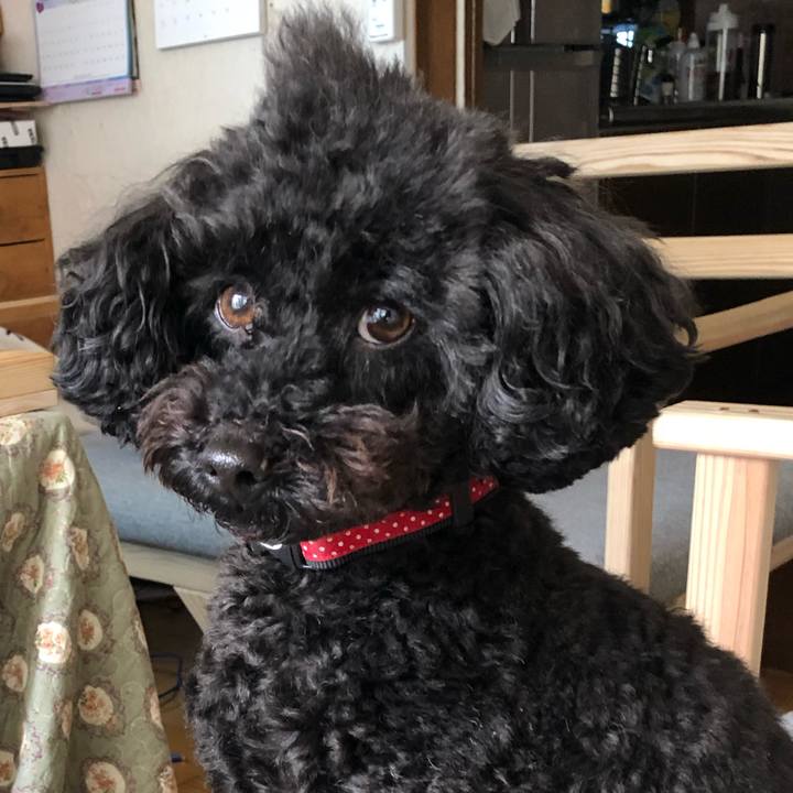 678a1656 552d 437e 8479 cea28abed74d 1582508689756