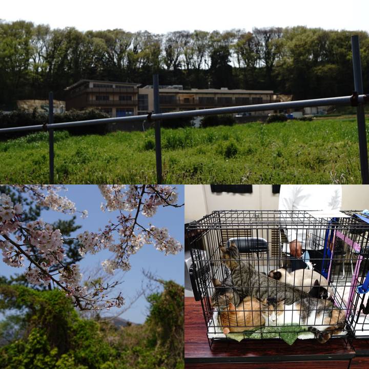 678a67b8 cca4 4a30 bde8 9ad40b358f40 1554645193106