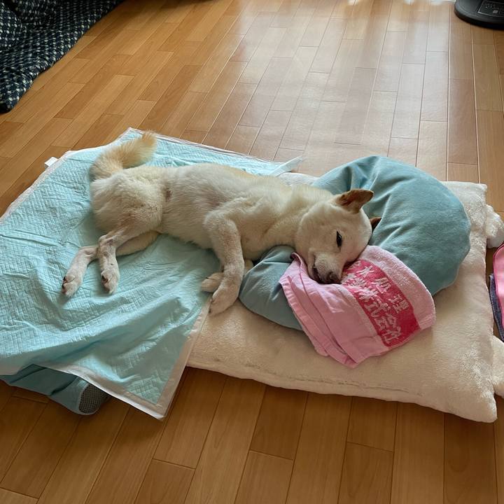 678a9884 82a9 4cbc 9c77 2c4fd8a833a2 1662015237008