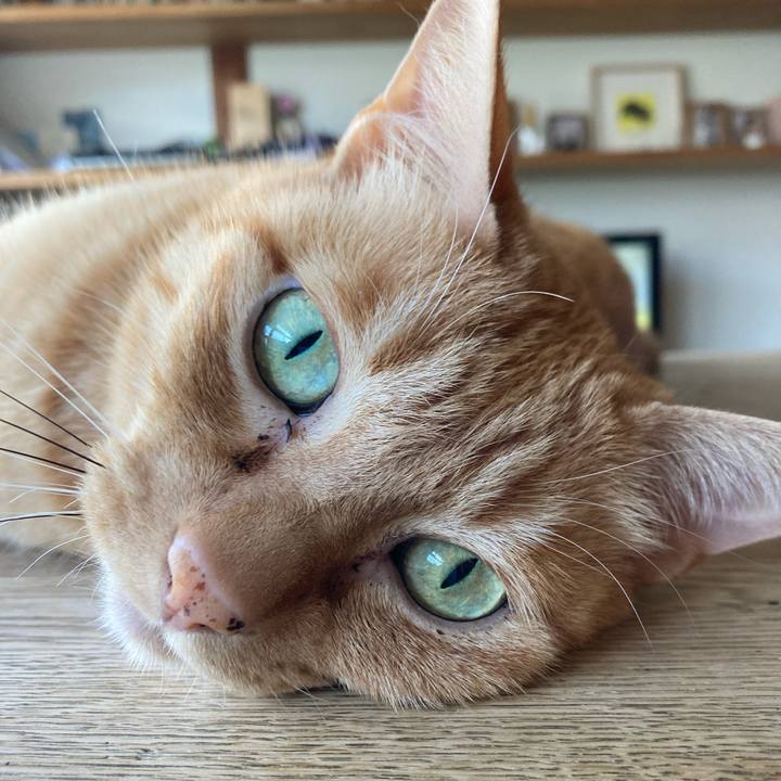 678aa1fc bb04 4589 8f92 00fcbd9f0f7d 1690071656304