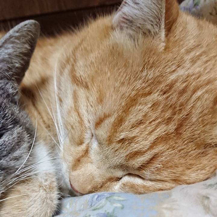 678aba1b 659f 46af bdd2 33e3914bcba6 1583064741010