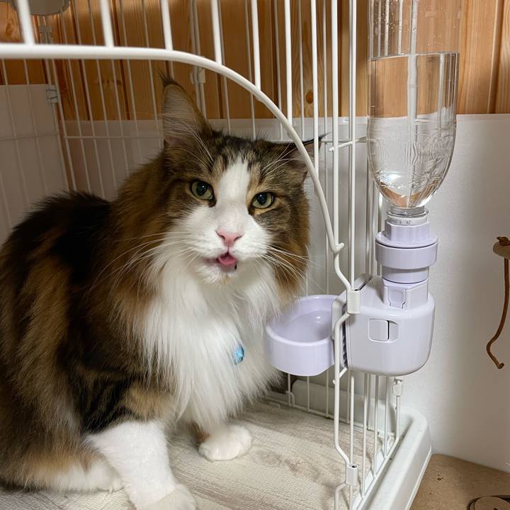 678acae0 371d 40c3 a4bf 912bd3c9c10c 1731356602806