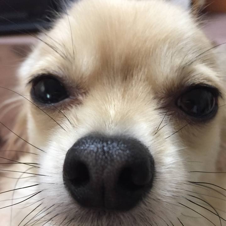 678acc83 e36e 4c3a aa06 6e5159e6b007 1543101818474