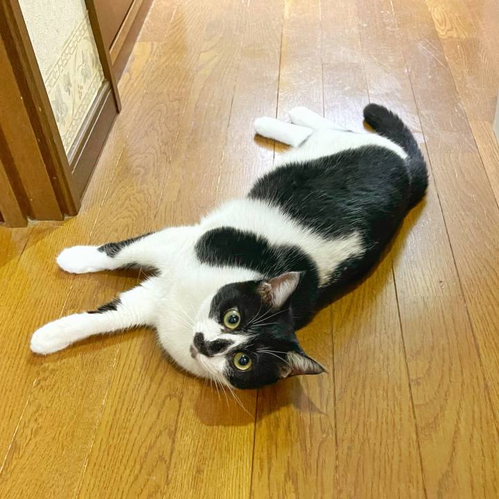 678ae4f0 9ecc 41c7 aed3 7ba57de4f133 1756335484132