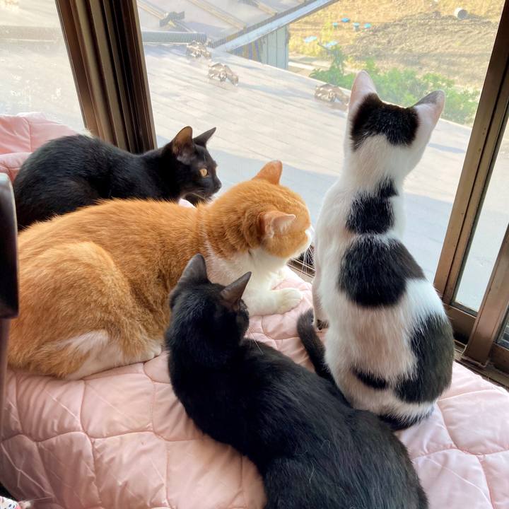 678aed82 9f66 4a10 818d 02b6d400afed 1630986993952