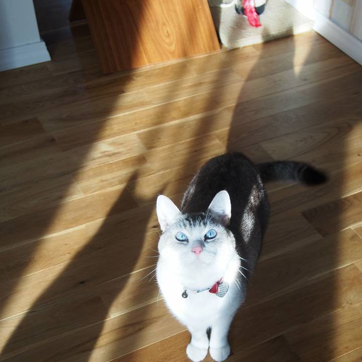 678afac0 0ff6 4859 82b9 415c6e131d07 1576455882517