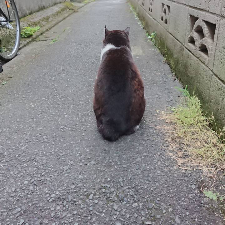 678b1d0d efbc 42df ac10 776d586fae1b 1685612091840