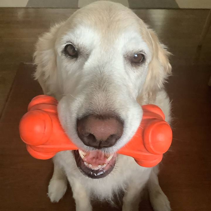 678b1f52 2bad 4efc 935d 86393628c951 1621549517617