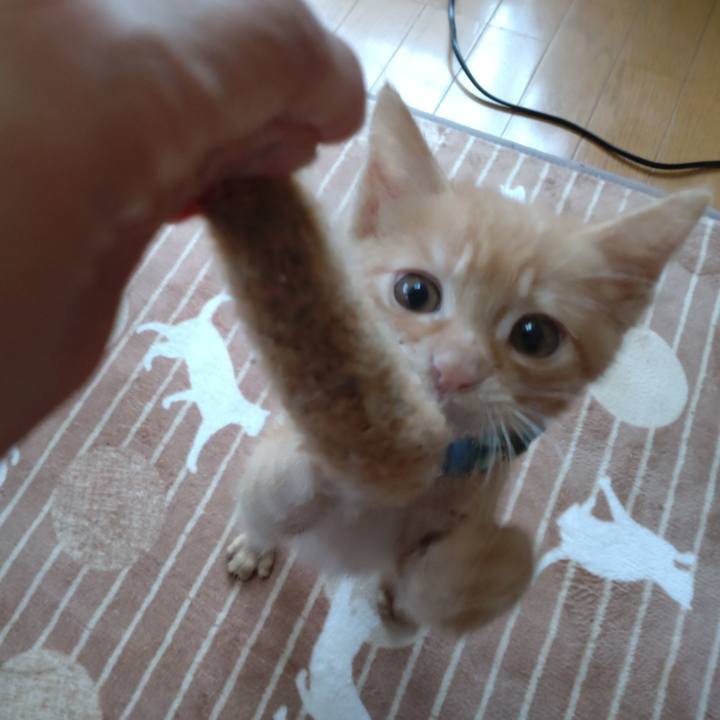 678b4572 a4b5 4e9e 81a3 111efed9cf44 1669603159042