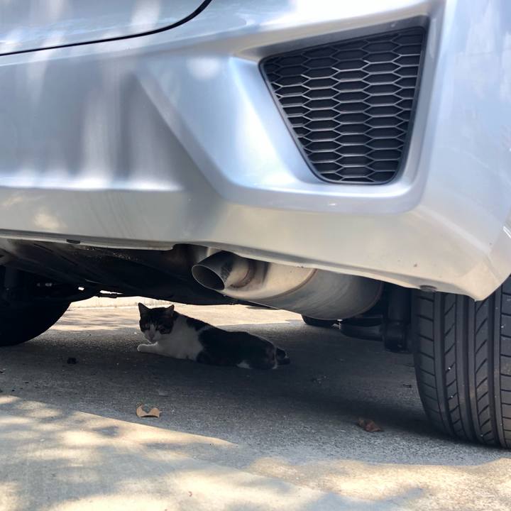 678b517b 506a 4431 a1a0 4477c4e7b2b7 1568319008244