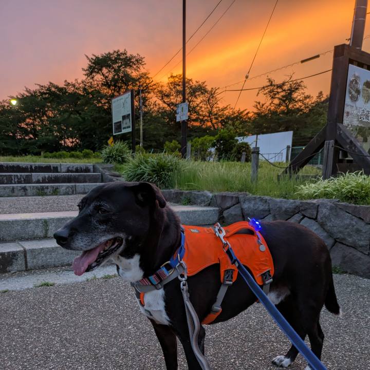 678b7956 1881 4205 a6cd 189a5fd90c66 1749380313472