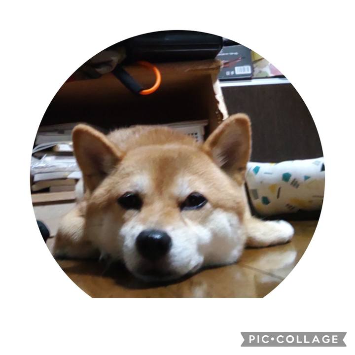 678b901b 2223 46ce 8aae bc76e8c55e60 1694525162196