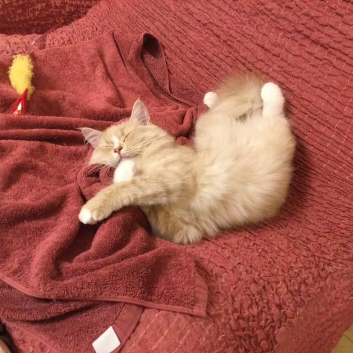 678c2f49 d93c 4577 9235 56bef6b1caa2 1611385374774