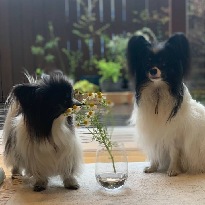 678c6bde 16fb 4410 a78c 00eea2e9ac98 1616301885697