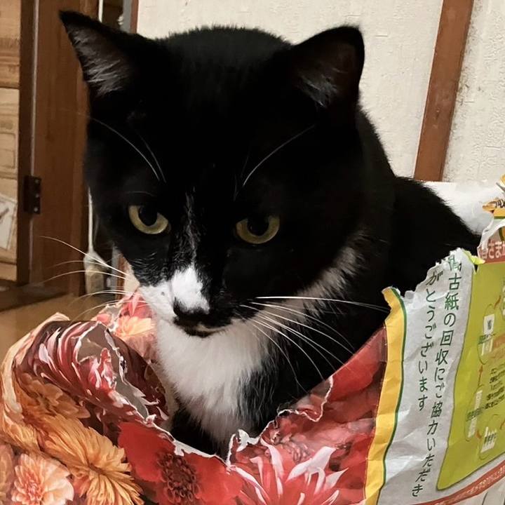 678c794a 5c81 4f98 a5ab 06daa0163030 1729582993756