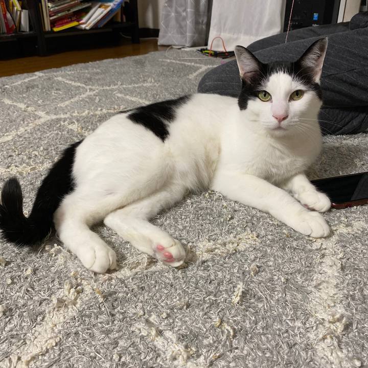 678c8aef 361e 4cbe 8629 b2eeeb906600 1645196583773