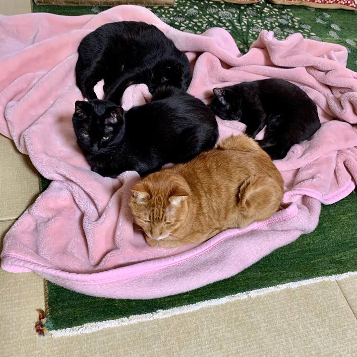 678cc1ef a7e3 4103 b5d7 25a5e58adc93 1650099185128