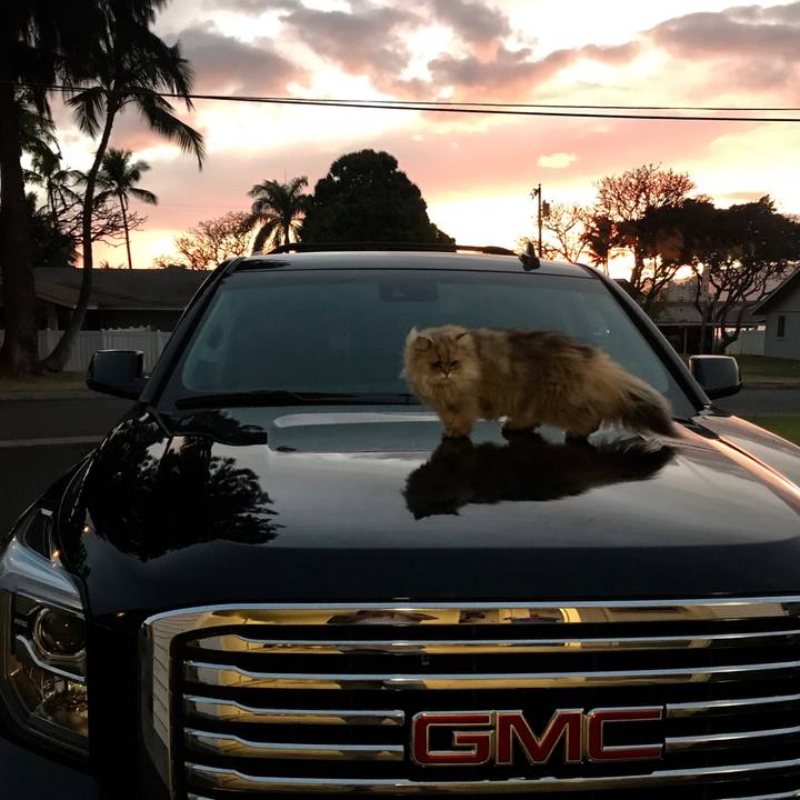 678d0110 b599 452e a3f1 a673c09311cb 1553503751427