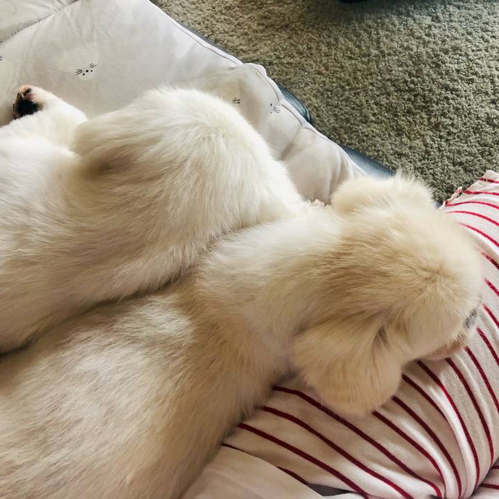 678d018c 49db 45c4 9928 cc3b7b51c763 1630206827388