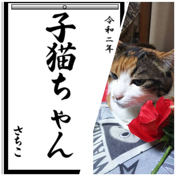 678d4075 354f 43ae b29d d2462348a4b7 1577921789440