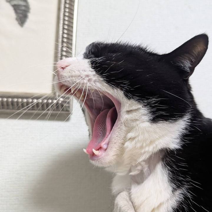 678d5265 3664 4b80 82e8 c51b5da6e108 1738209119411