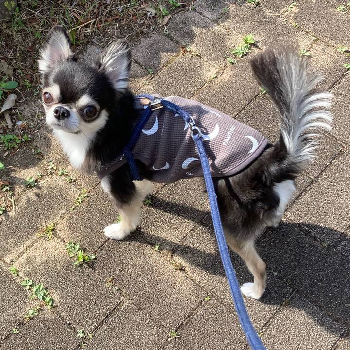 678d5a12 dee5 441a a1cd 6b7433bd1ed9 1682782226707