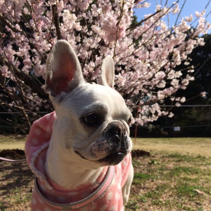 678d6c6f d658 4efa 82e9 83843830441c 1521948841464