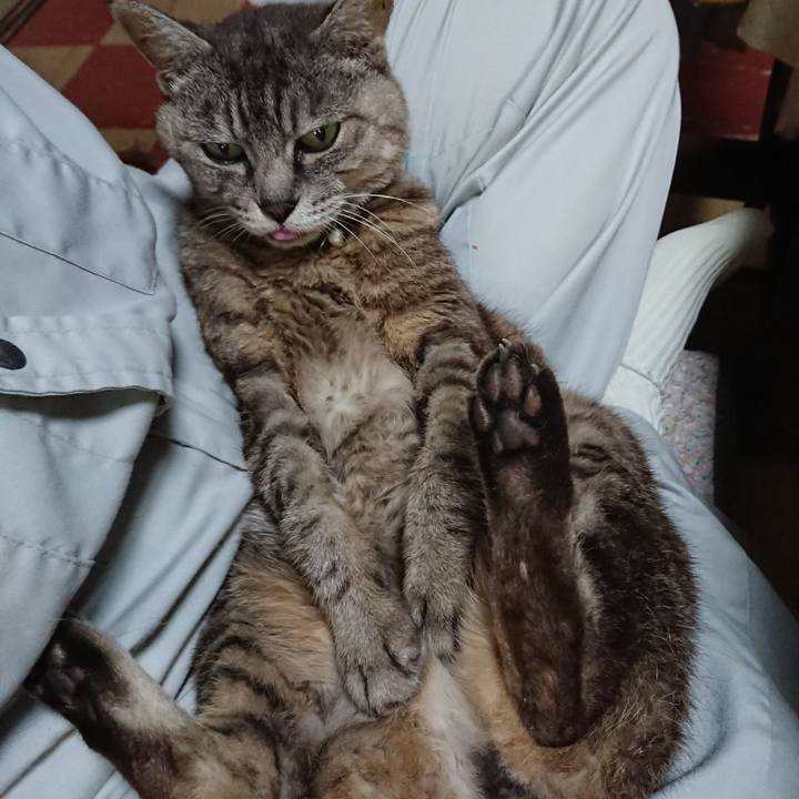 678d7271 7969 49ed 82d6 84fafdf4ecc3 1567728255373