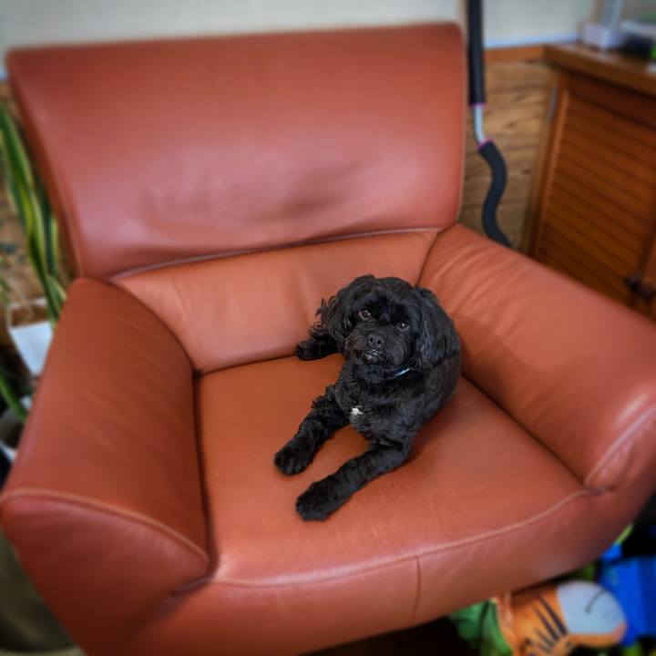 678d75c5 7c28 41f5 8992 c26409b89ced 1598231061161