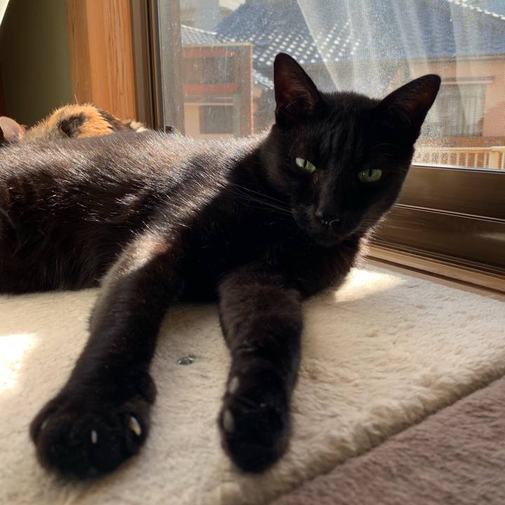 678d8c26 2e07 4ff8 b9d0 cbee36fa2e1c 1541037959309