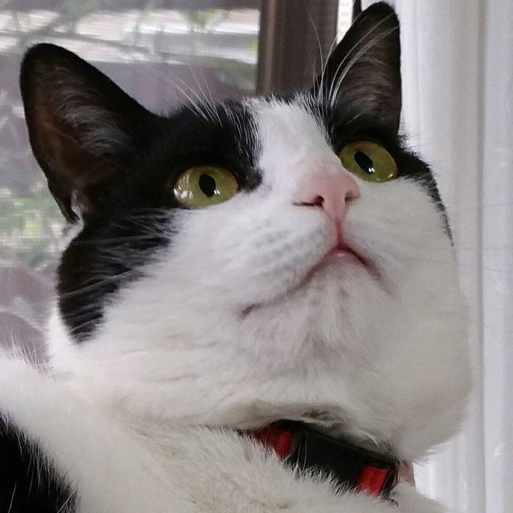 678d8f0e 890a 4945 9ba1 32ea870664a2 1528320751156