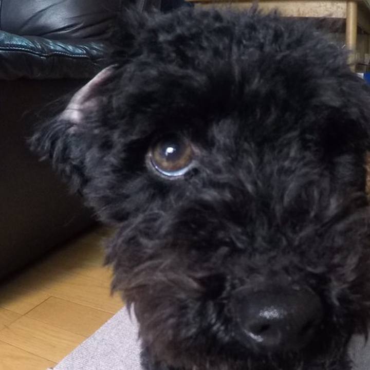 678d92d2 8866 4d0c 99f1 f83955645313 1520501924226