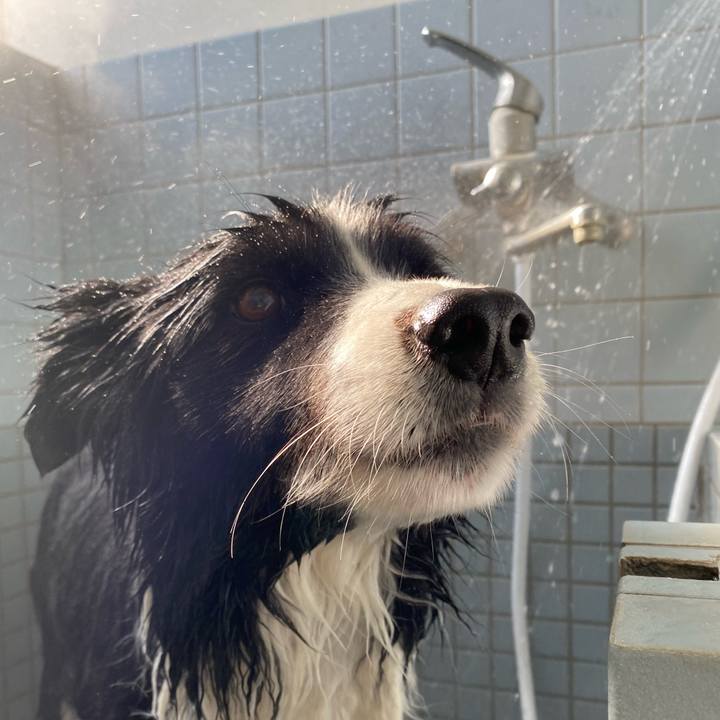 678d9912 ac99 4273 8b96 e80130fbcac7 1641273275979