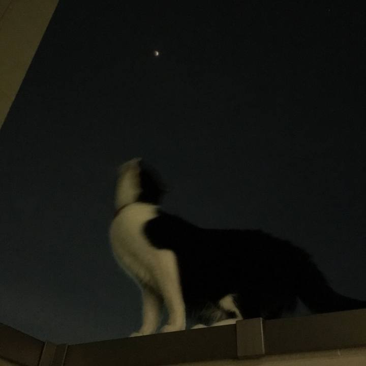 678db2cf 387c 473c a4d0 7f2c86a97ac5 1517403619146