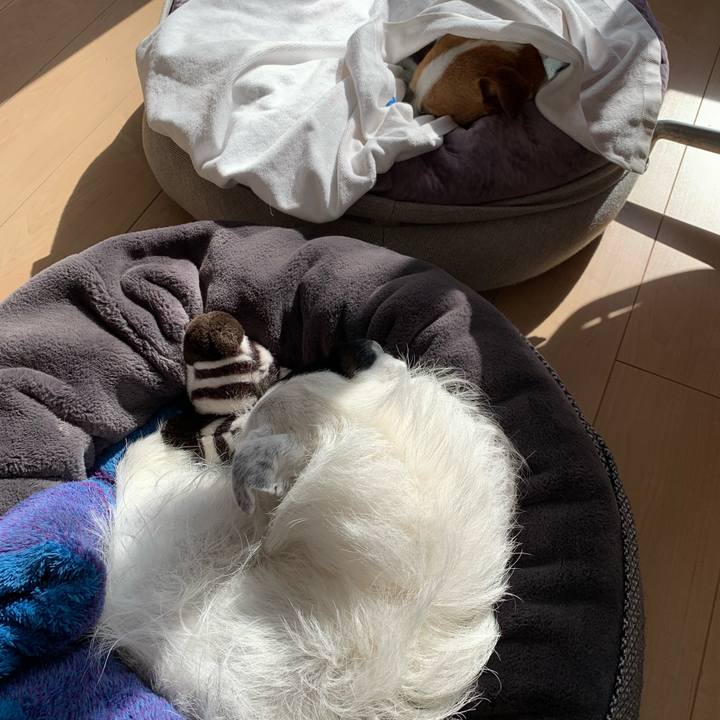 678db4a9 d6af 4274 ac7f eb63b2204c1f 1644035004305