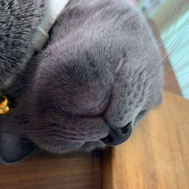 678df0ba 540d 43e4 9386 53adb359fdf2 1633179201671