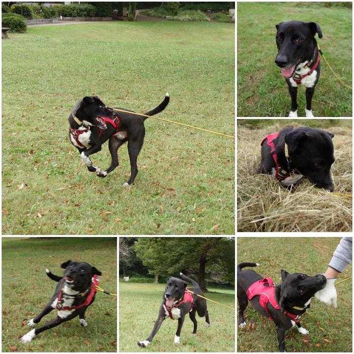 678e10e9 3f0b 41b0 8e59 020b51a2520c 1603066387339