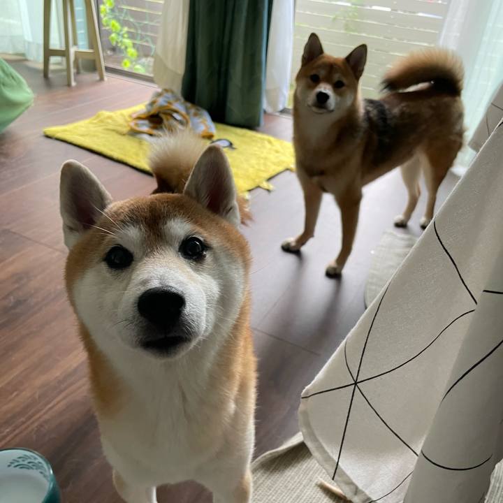 678e3ed3 5752 4040 8cbd ec6f35f23e68 1666392338165