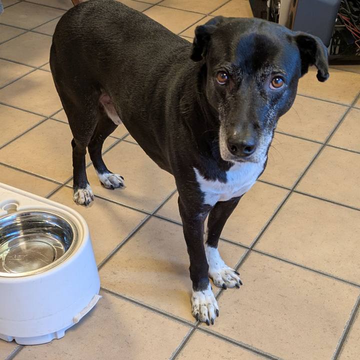 678e5d56 0508 42f5 9528 bc1056b1a2ed 1735432583889